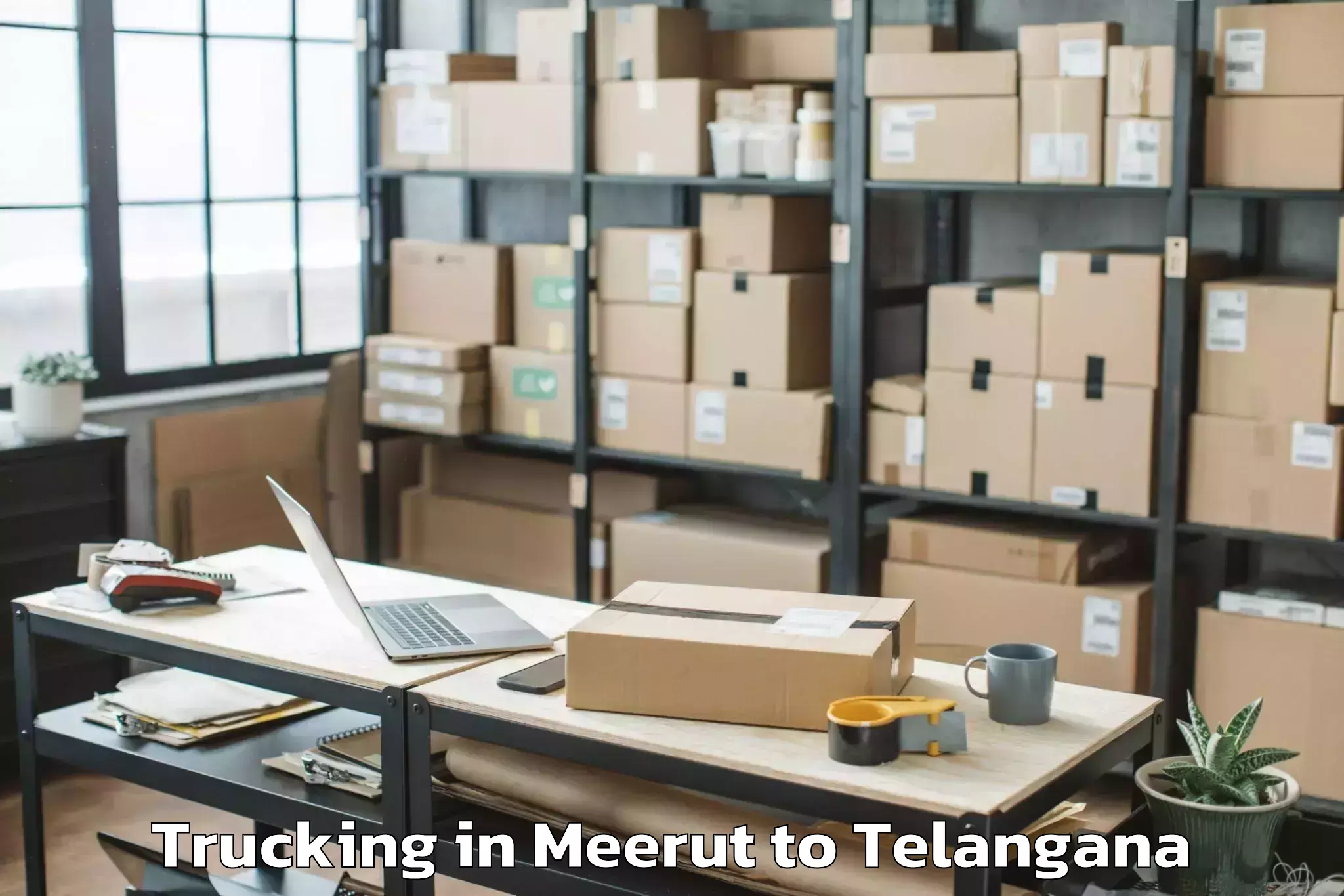 Professional Meerut to Nelakondapalle Trucking